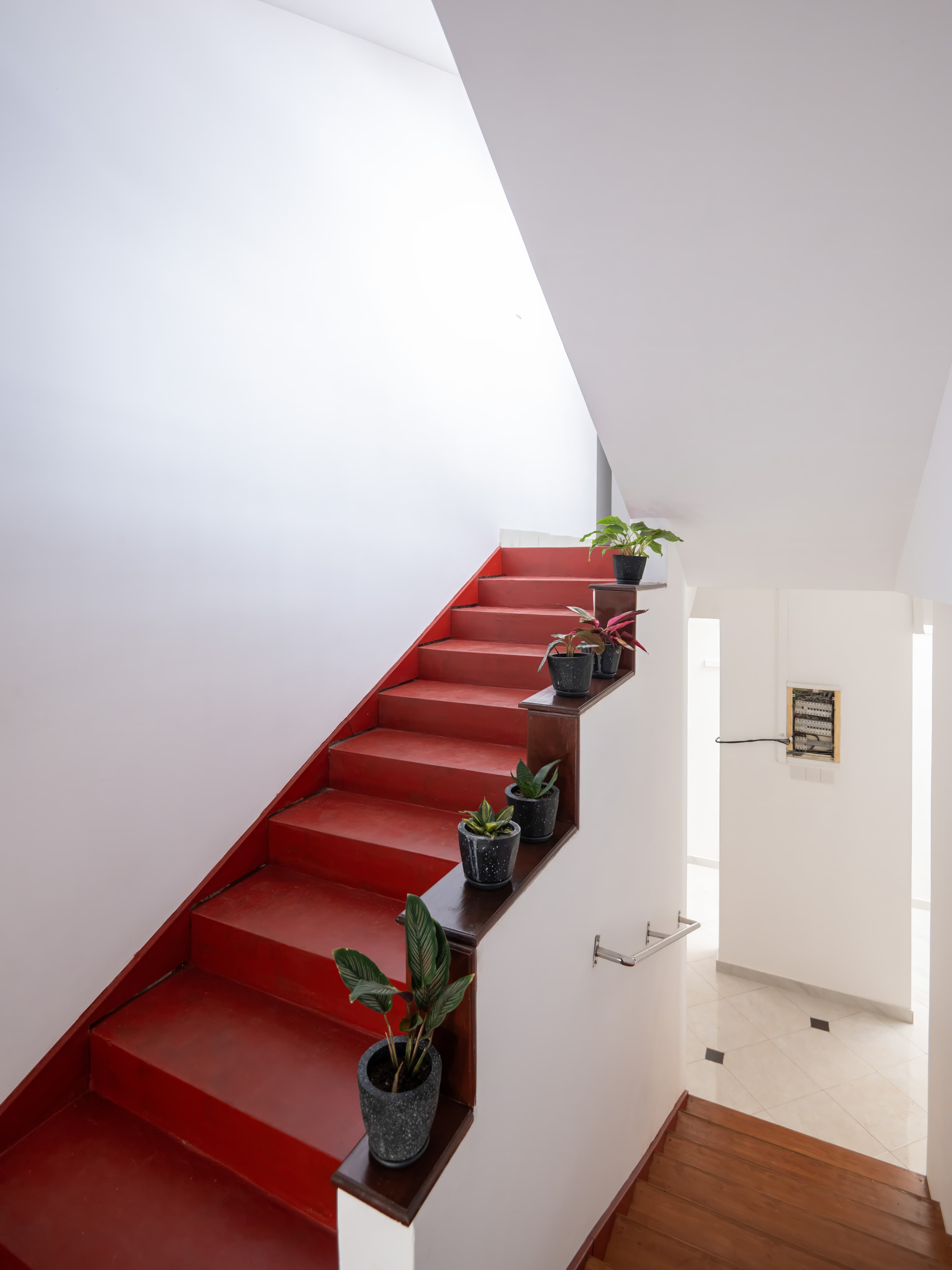 Interior staircase with plants